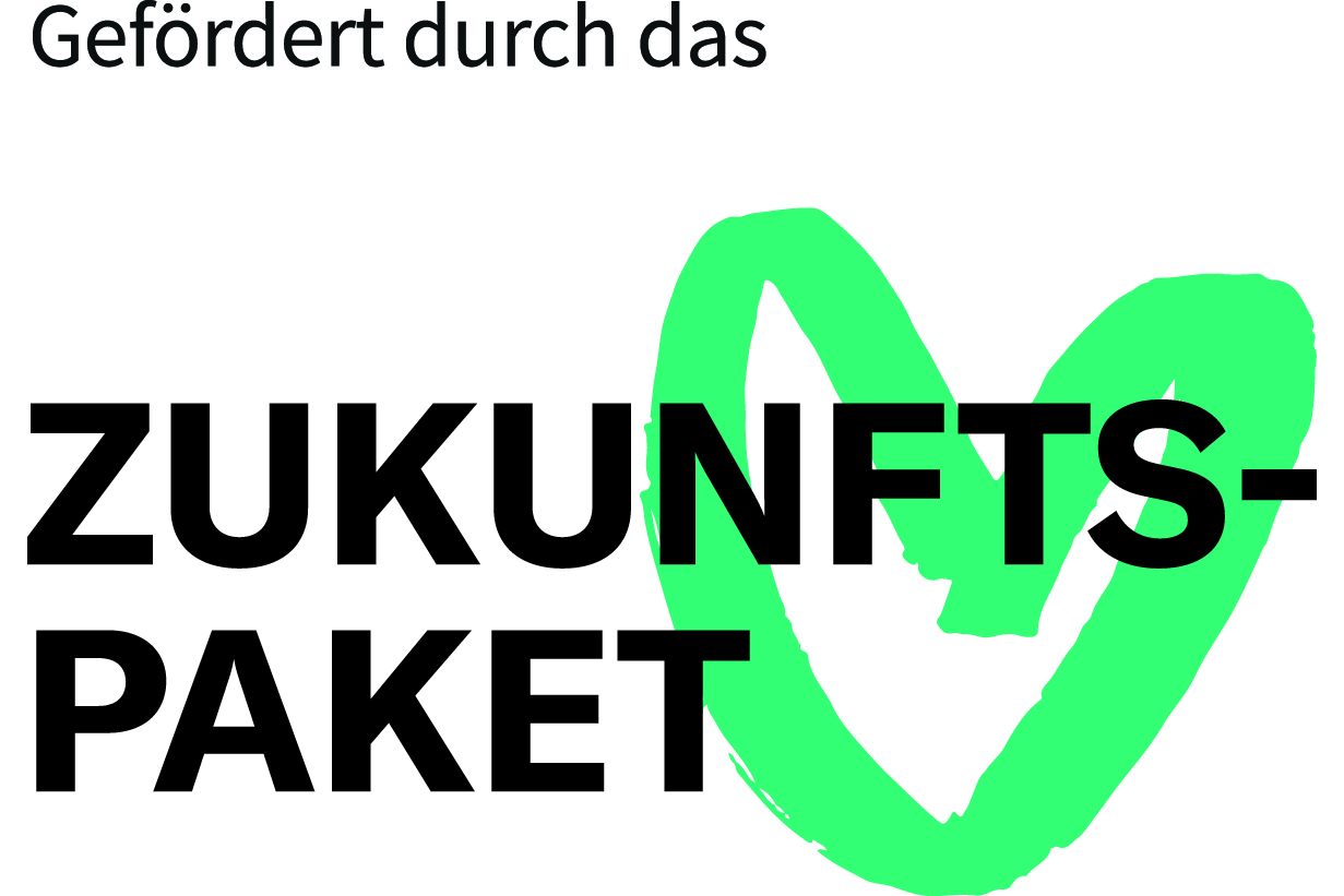 Logo-Das Zukunftspaket