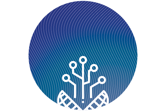 Icon zu weiteren Projekten Copyright Amélie Putzar/Team Digitalisierung HAW Hamburg
