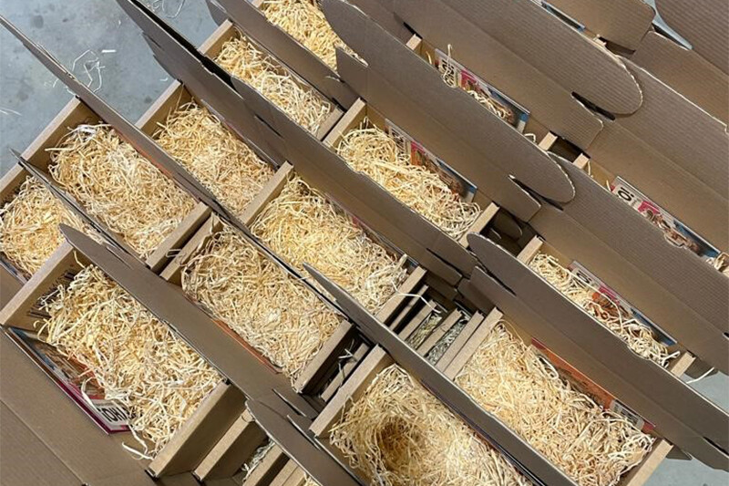 Kartons mit Holzwolle