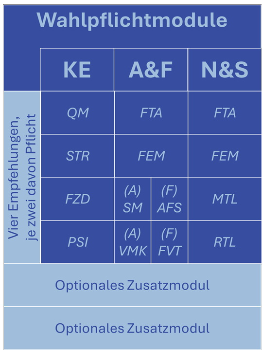 
                Wahlpflichtmodule
            