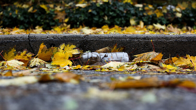 Eine nicht weggeworfene Plastik-Flasche liegt zwischen herbstlichen Blättern auf der Straße. 