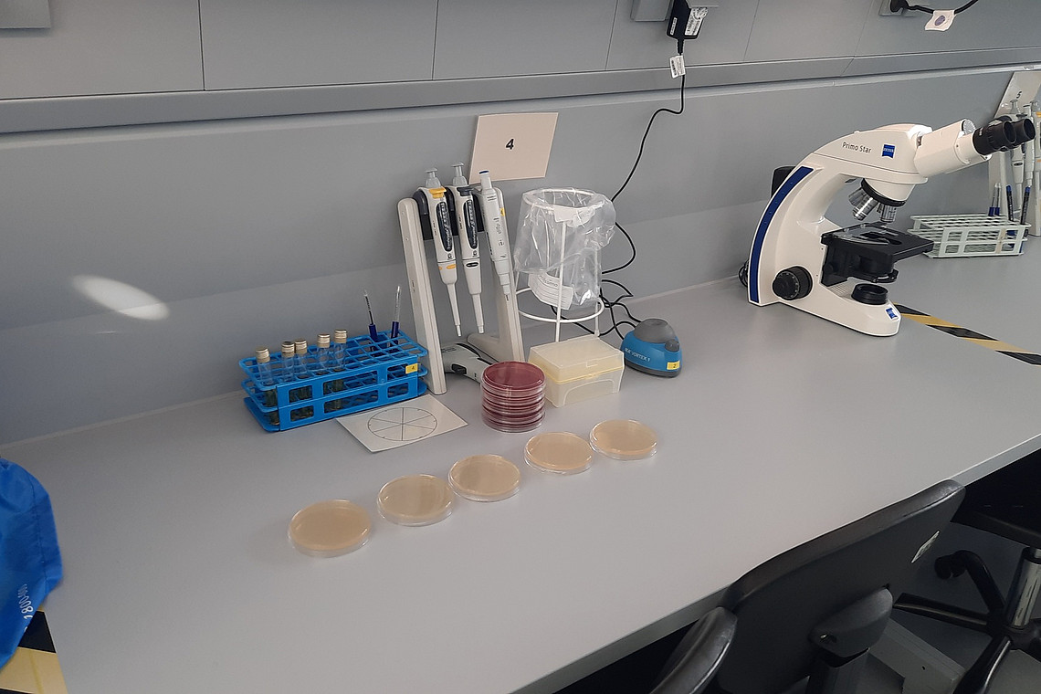 Die Versuche im LMM-Labor werden in Teams bearbeitet.