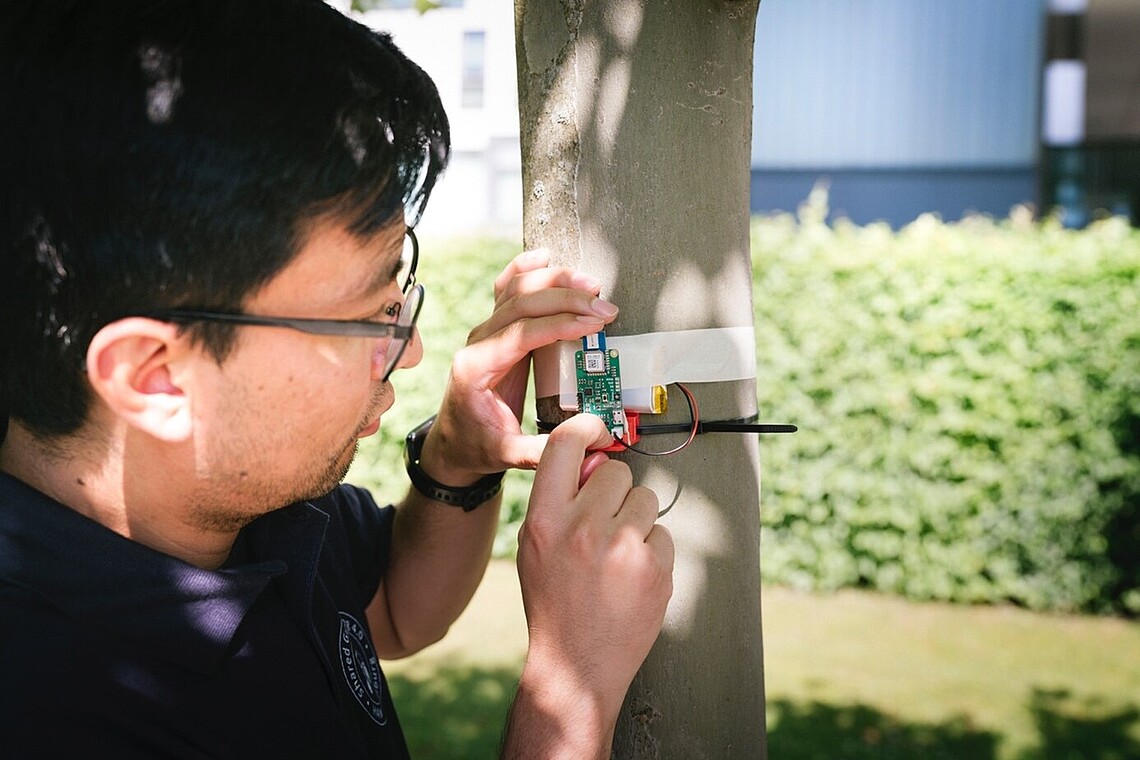 Ein junger Mann befestigt einen Sender an einem Baum.