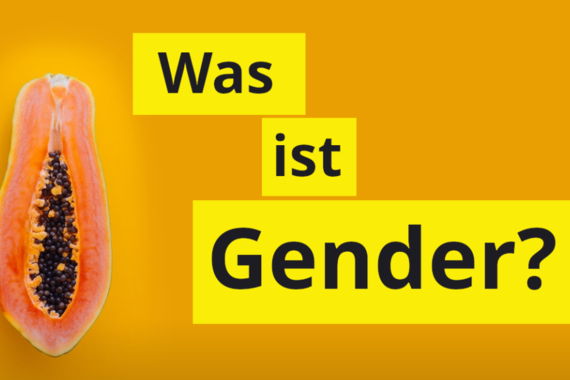 Das Bild zeigt eine aufgeschnittene Papaya vor orangefarbenem Hintergrund und den hervorgehobenen Schriftzug: Was ist Gender?