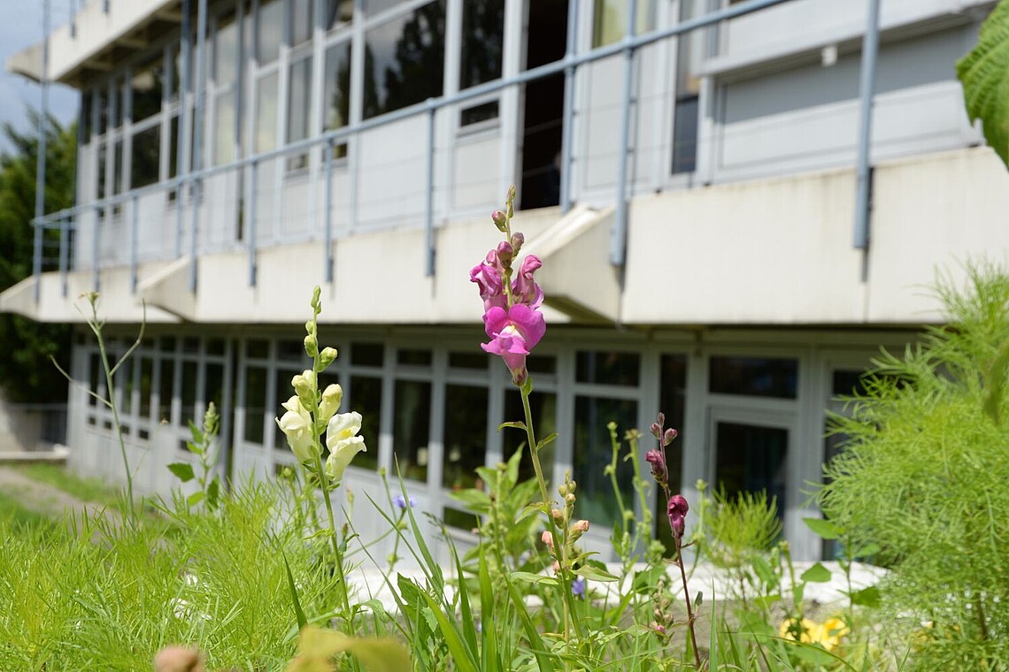 Campus Bergedorf