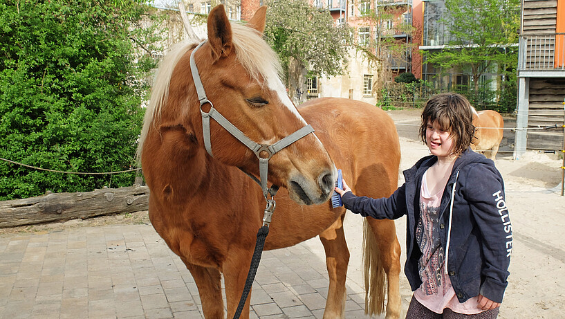 fachtag_okj_foto_michael_heinzig_2026 Pferd mit junger Person