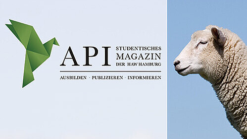 API Magazin Issue 15 Cover
