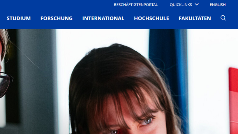 Screenshot vom Megamenü