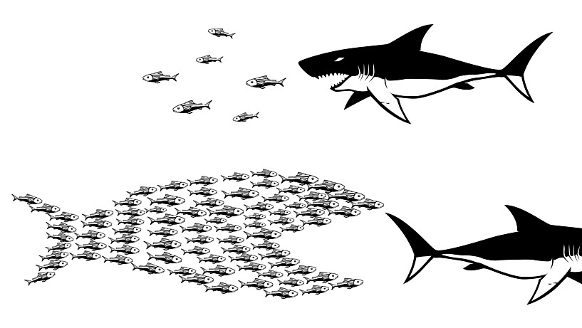 Viele Fische gegen einen Hai