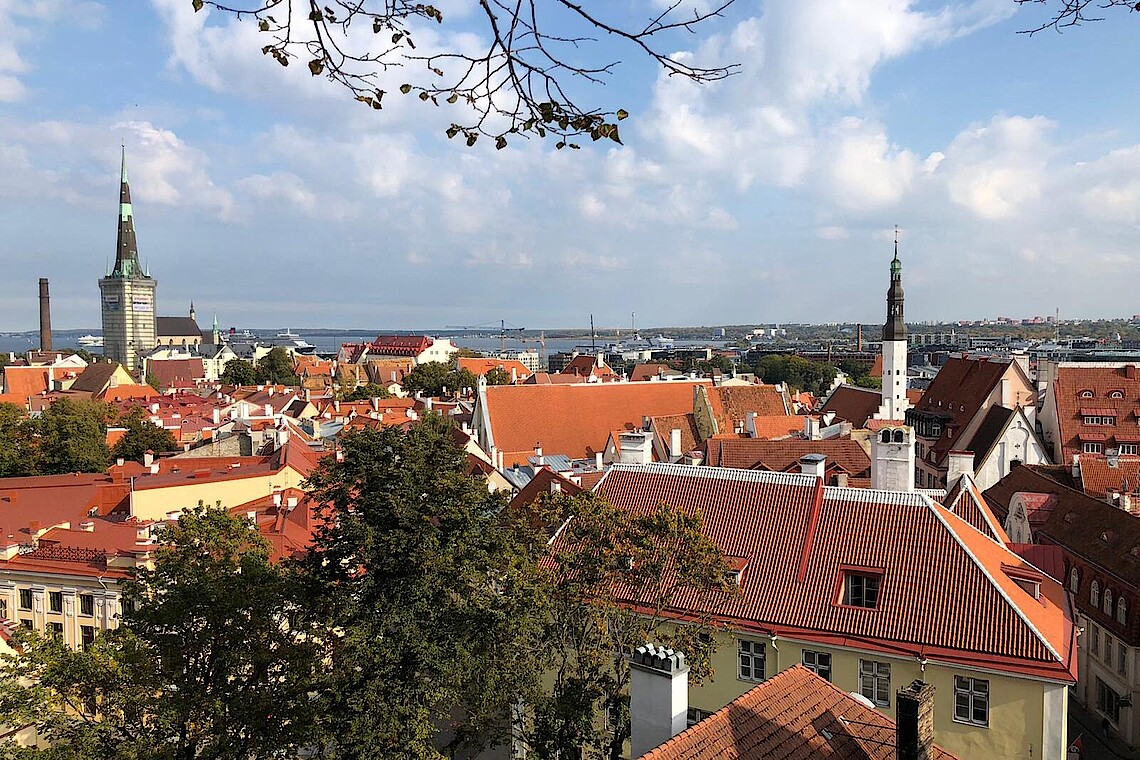 Blick über rote Dächer und Kirchturmspitzen von Tallinn