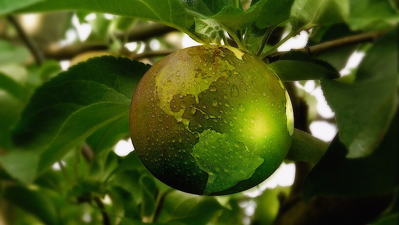 Nachhaltigkeit: Stilisierter Apfel als Erdkugel