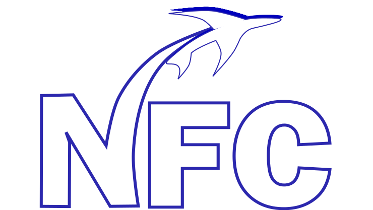 NFC Logo