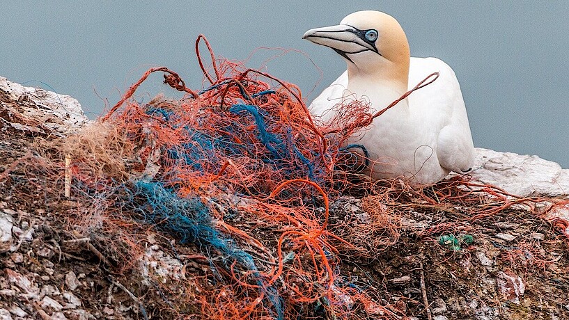 Kunststoffe sind ewig haltbar in Meeren und gefährden die Umwelt