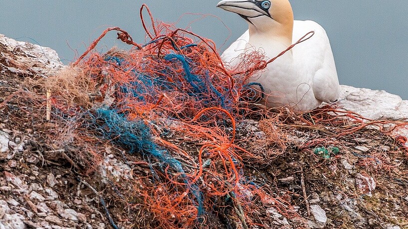 Kunststoffe sind ewig haltbar in Meeren und gefährden die Umwelt