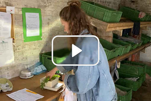 
                Thumbnail zum Video: Solidarische Landwirtschaft. Für Weiterleitung zu Vimeo klicken.
            