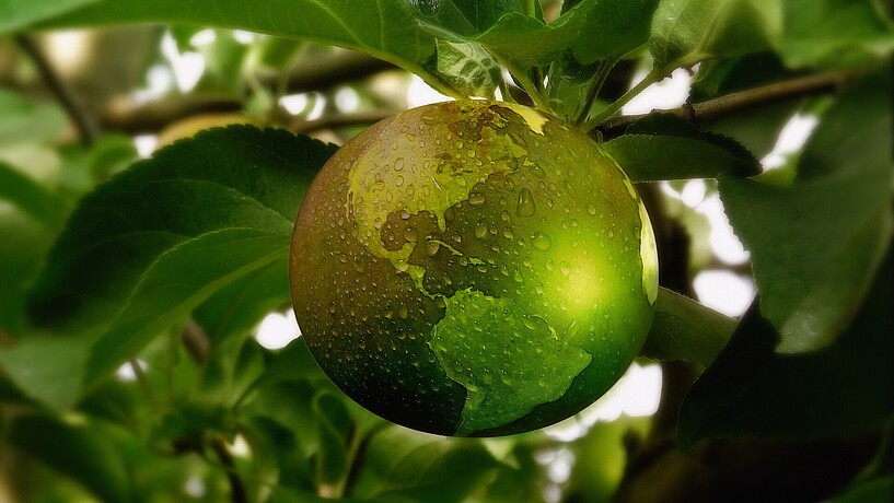 Nachhaltigkeit: Stilisierter Apfel als Erdkugel