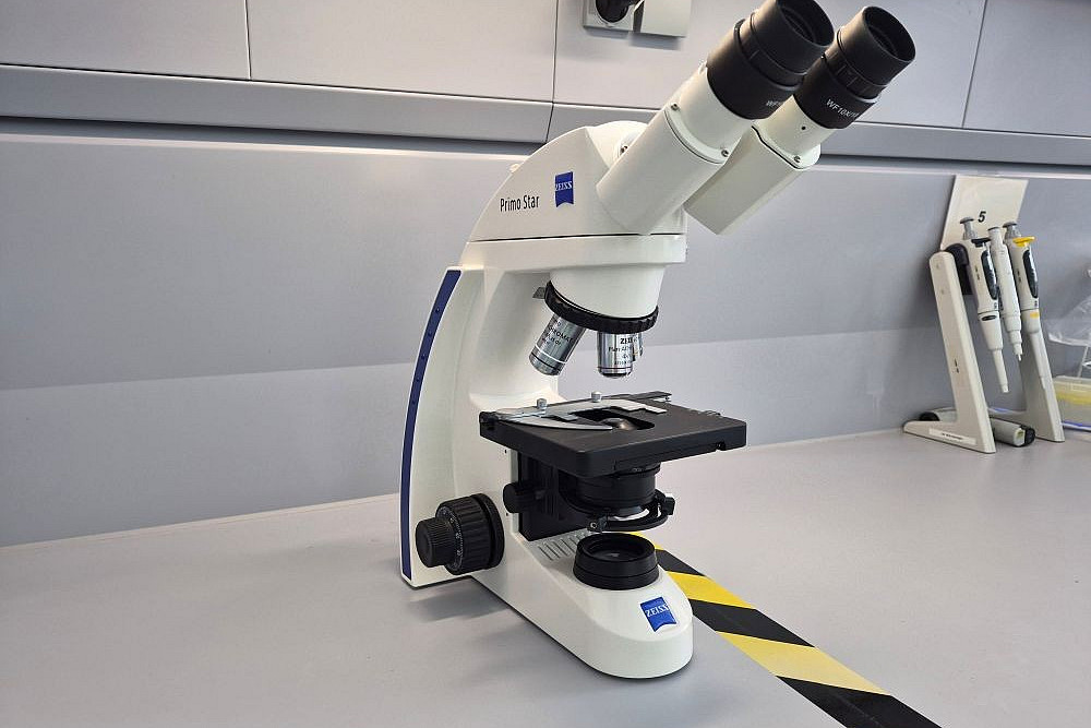 Die Studierenden arbeiten im MTL-Praktikum mit dem Mikroskop