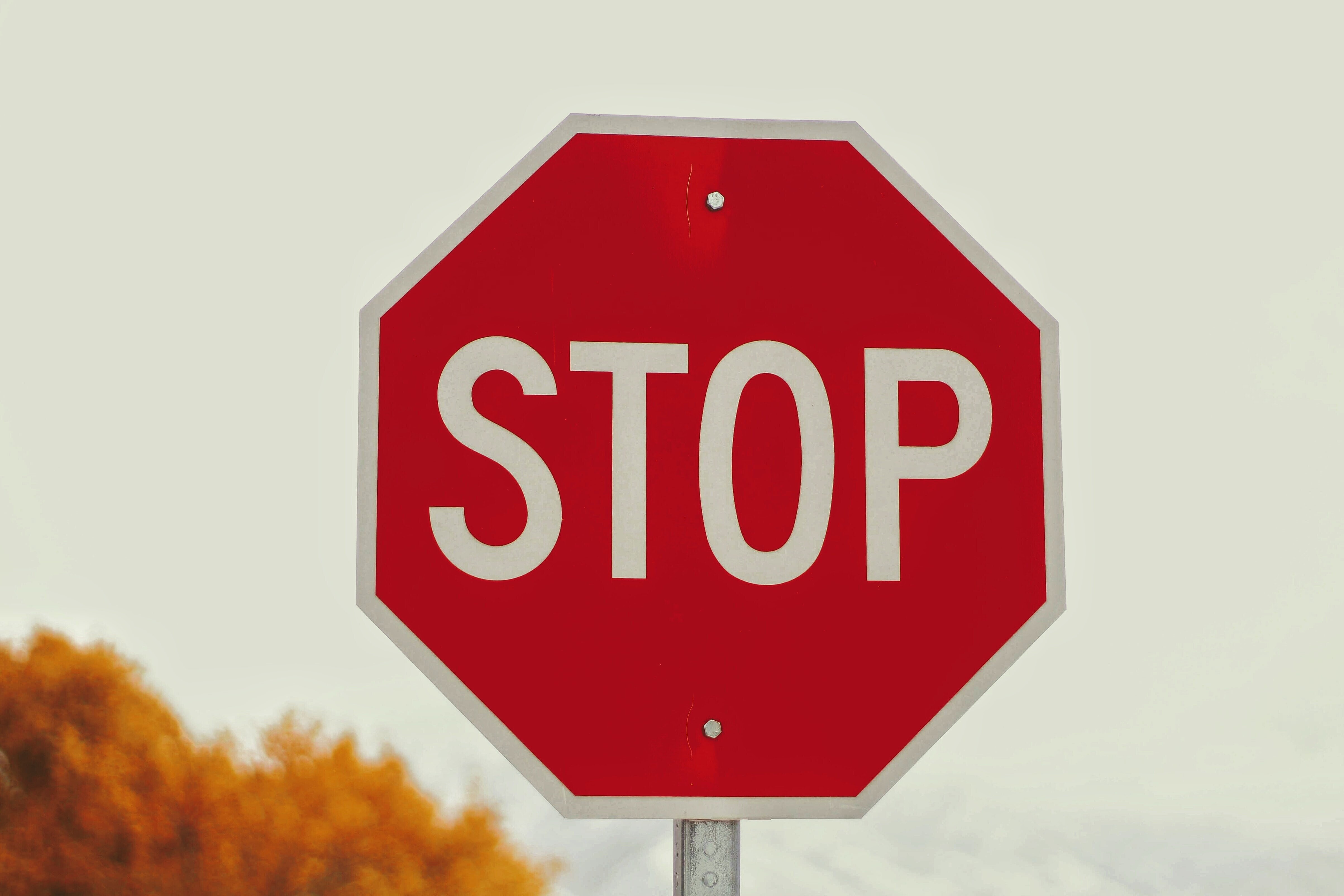 Copyright Joshua Hoehne/ unsplash