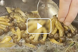 
                Thumbnail zu dem Video: Das Ei des Kolumbus
            