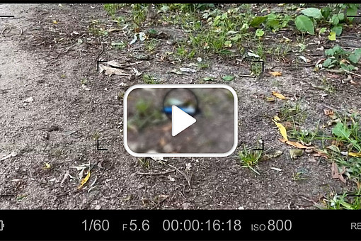 
                Thumbnail zum Video: E-Vapes - F&uuml;r die Tonne? F&uuml;r Weiterleitung zu Vimeo klicken.
            