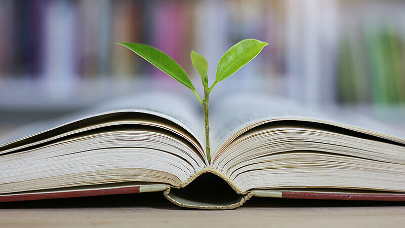 Education concept with tree of knowledge planting on opening old big book
