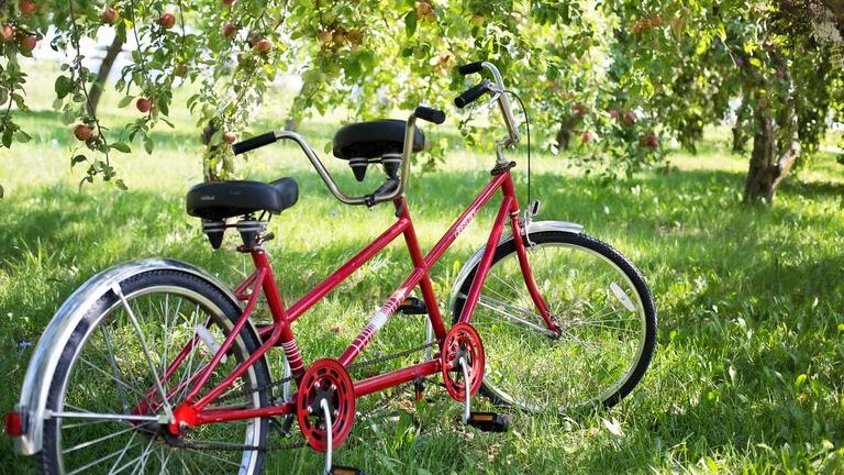 Das Foto zeigt ein rotes Tandem-Fahrrad auf einer grünen Wiese mit Bäumen.