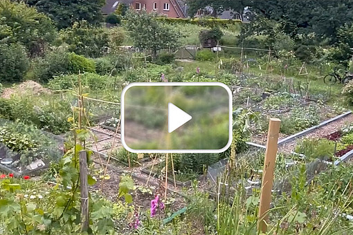 
                Thumbnail zum Video: Permakulturen vs. konventionelle Landwirtschaft. F&uuml;r Weiterleitung zu Vimeo klicken.
            