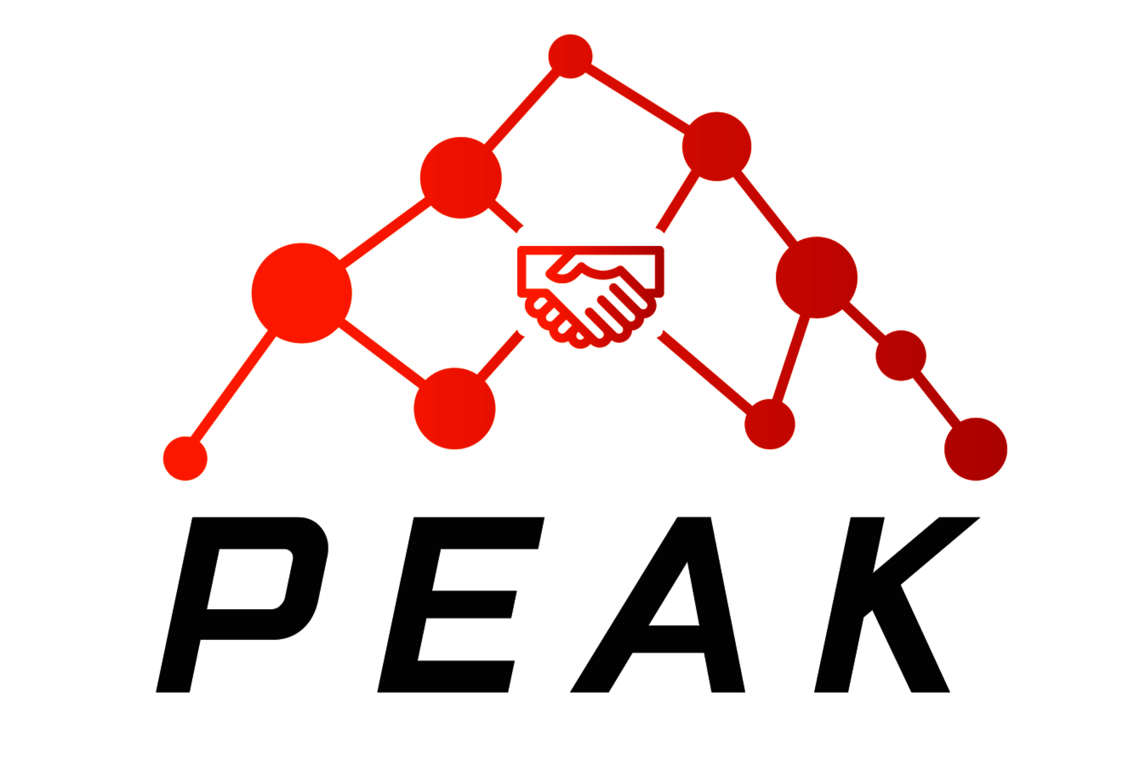Logo des Projekts PEAK