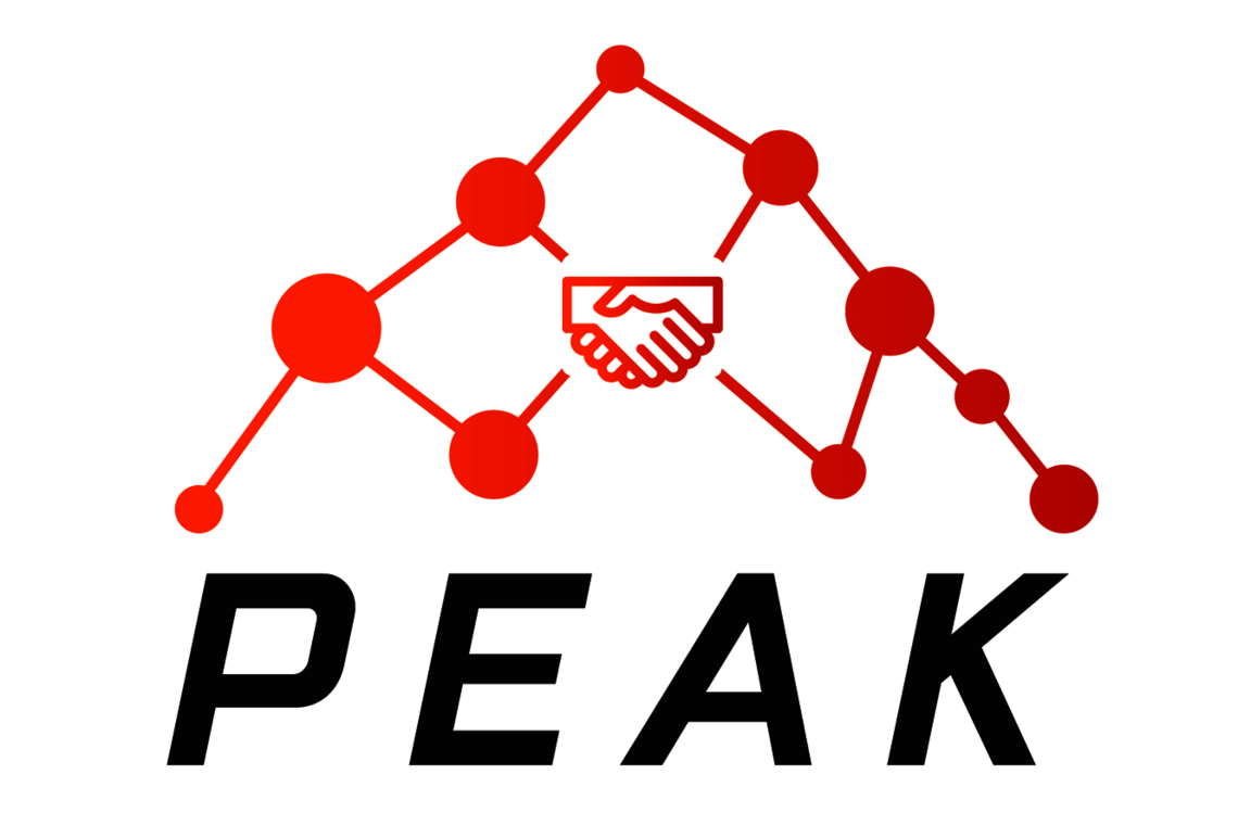 Logo des Projekts PEAK