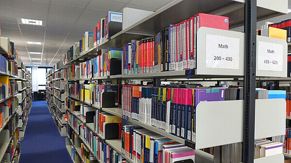 Regale TWI Dekoratives Bild