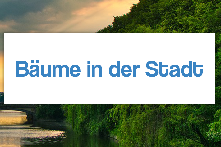 Bäume sind die grünen Helden unserer Städte! Sie spielen eine entscheidende Rolle für unser Wohlbefinden und die Umwelt. In dieser Woche nehmen wir euch mit auf eine lebendige Reise durch den Großstadtdschungel!
