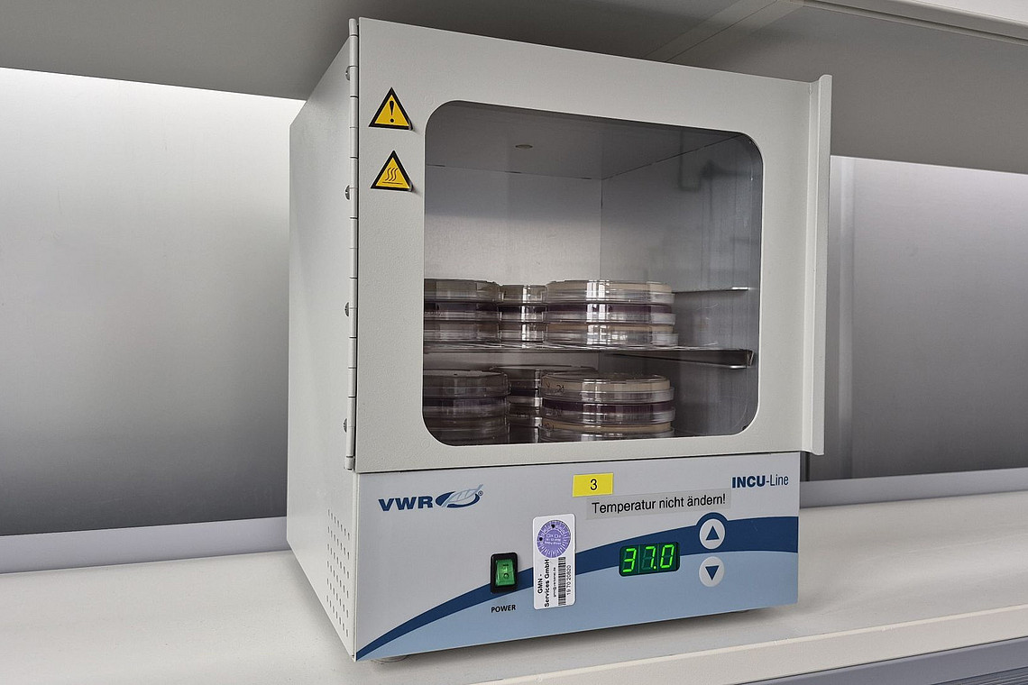 Der Brutschrank im Labor